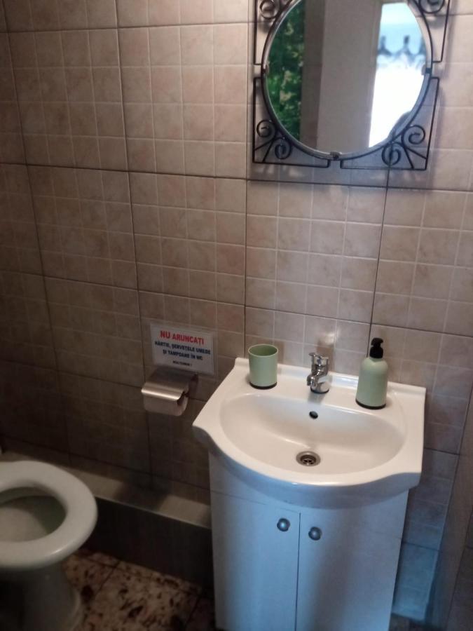 Hotel Casa Iuliana Subcetate  Exteriér fotografie